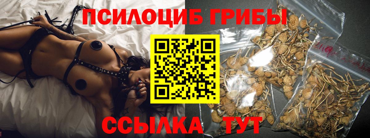 Псилоцибиновые грибы Psilocybine cubensis  Вход с VPN  Ивантеевка 